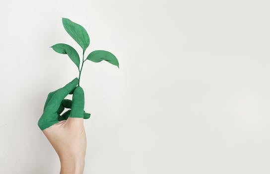 Green Money: How To Make A Living From Sustainable And Eco-Friendly Practices